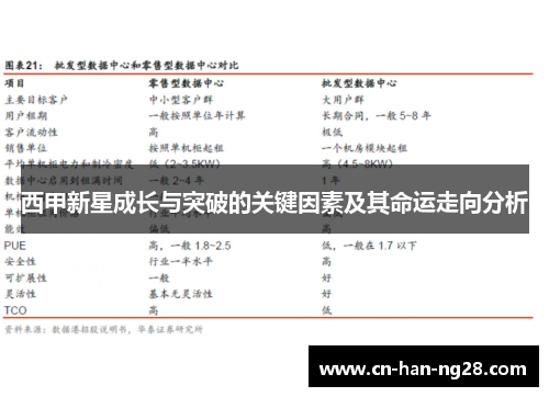 西甲新星成长与突破的关键因素及其命运走向分析