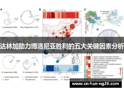 达林加助力博洛尼亚胜利的五大关键因素分析