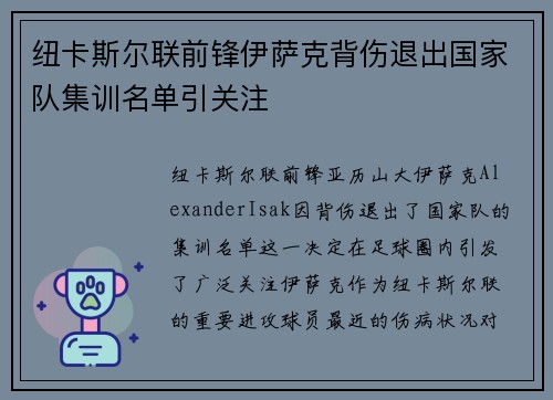 纽卡斯尔联前锋伊萨克背伤退出国家队集训名单引关注
